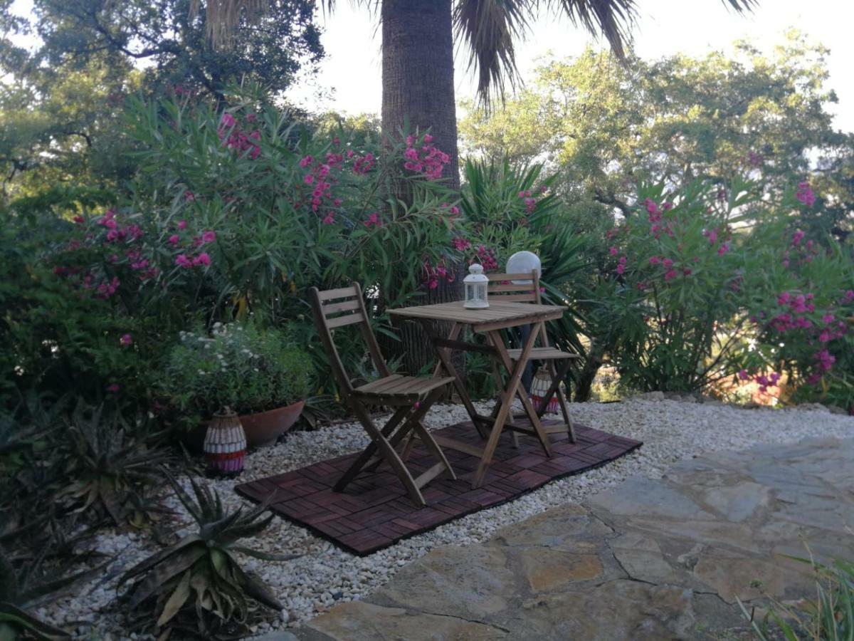 Encantador Y Amplio Estudio A 15 Min De Marbella Apartment Ojen Ngoại thất bức ảnh